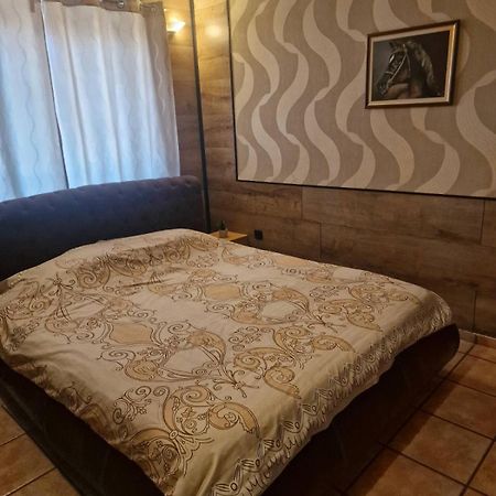 Guest House Maja Novi Sad Exterior photo