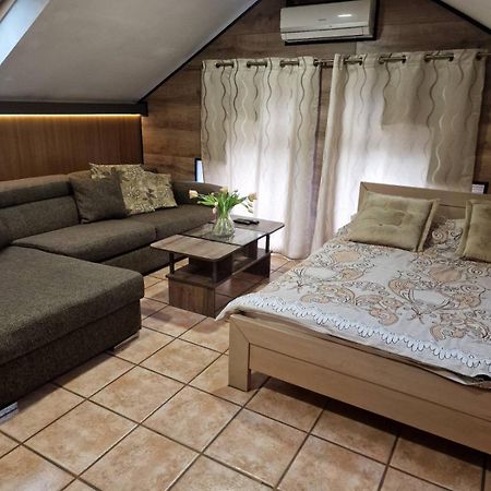 Guest House Maja Novi Sad Exterior photo