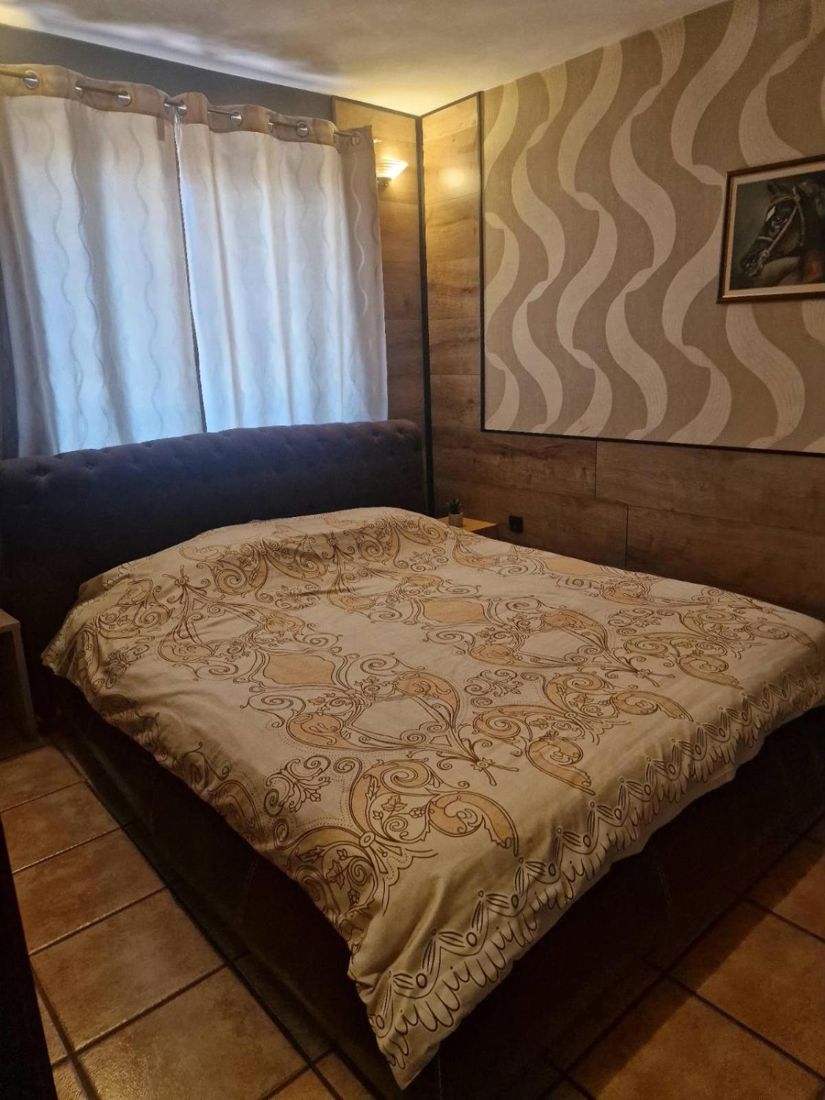Guest House Maja Novi Sad Exterior photo